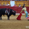 Galería de fotos de la segunda de feria taurina San Juan 2016