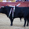 Imágenes de la corrida de &#39;El Juli&#39;, Morante y Roca Rey en Badajoz