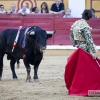 Imágenes de la corrida de &#39;El Juli&#39;, Morante y Roca Rey en Badajoz