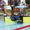 Imágenes del meeting de Natación Ciudad de Badajoz