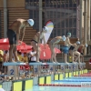 Imágenes del meeting de Natación Ciudad de Badajoz