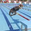 Imágenes del meeting de Natación Ciudad de Badajoz II