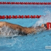 Imágenes del meeting de Natación Ciudad de Badajoz II