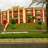 IU-Mérida impugna el Convenio Urbanístico de la Plaza de Toros