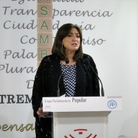 El PP denuncia &quot;irregularidades&quot; en la Consejería de Educación