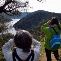 Extremadura sigue apostando por el turismo ornitológico