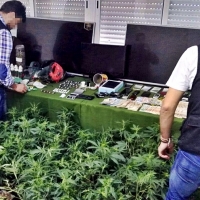 19 detenidos en una operación contra el tráfico de drogas en la región