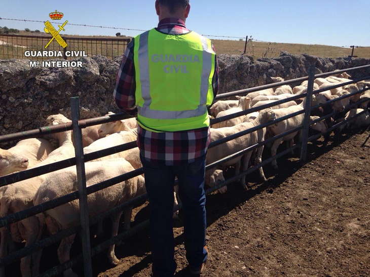 Cinco detenidos por robar en casas de campo y explotaciones ganaderas