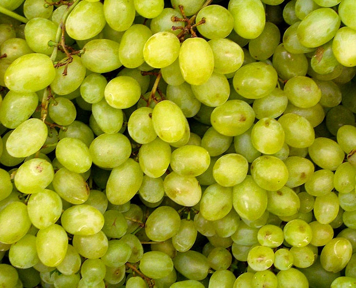 Premian un trabajo extremeño sobre el efecto del riego en el aroma de la uva