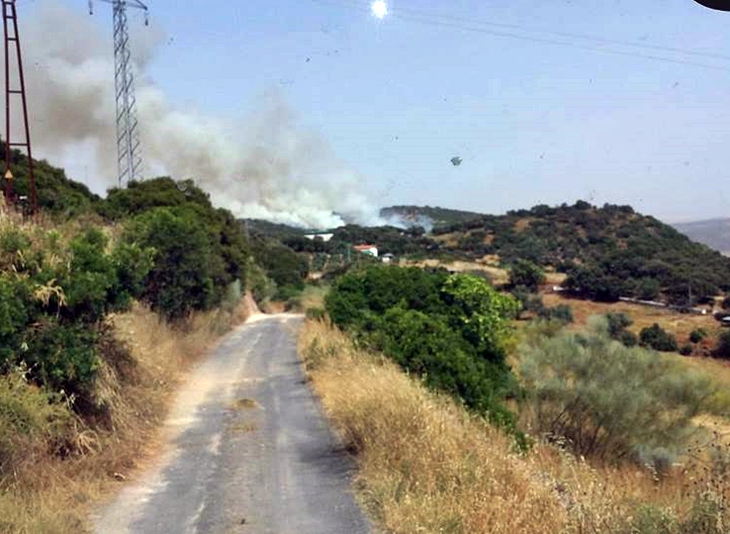 Un incendio afecta a la Sierra de Buena Vista de Jerez