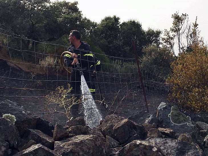 Un incendio afecta a la Sierra de Buena Vista de Jerez