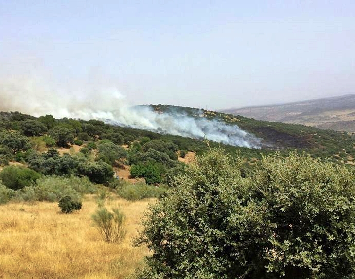 Un incendio afecta a la Sierra de Buena Vista de Jerez