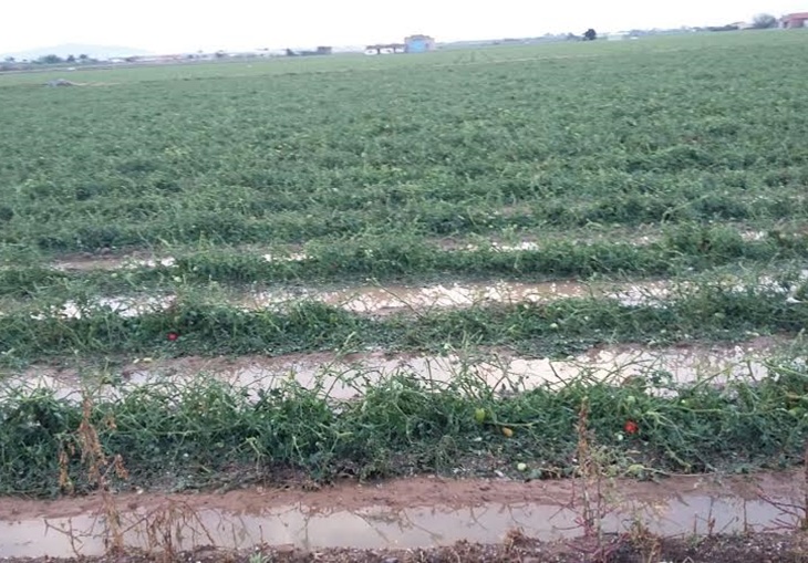 La Unión solicita a la Junta ayudas de minimis tras el temporal