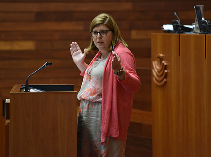 C’s pide que se reduzcan las competencias de los consejeros