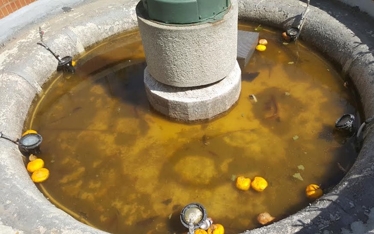 IU-Mérida pide una solución definitiva para la fuente de la Plaza de la Constitución.