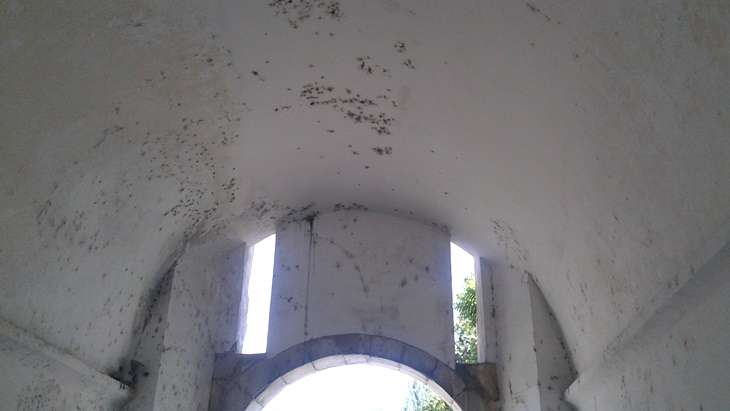 Puerta Pilar, ante un abandono endémico