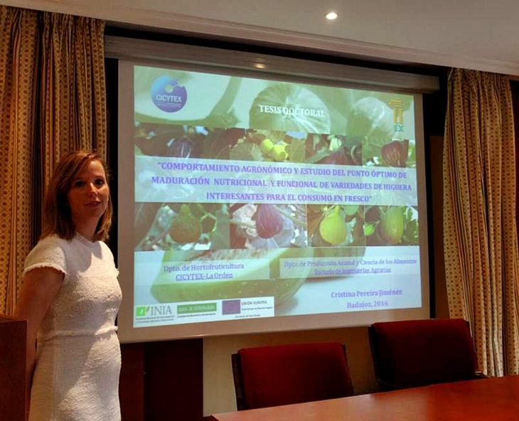 Una tesis doctoral evalúa variedades comerciales de higos y brevas para su consumo en fresco
