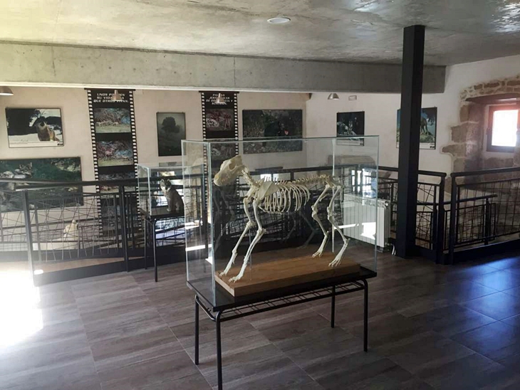 El lobo ya tiene su propio espacio cultural en Extremadura