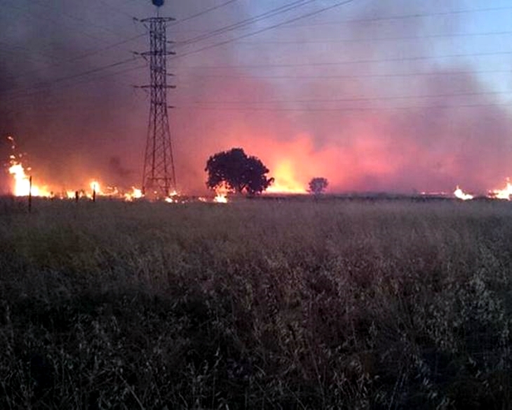UGT pide que los agentes del medio natural investiguen los incendios
