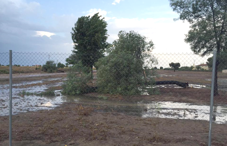 Vecinos: &quot;Lo ocurrido ayer en Villanueva parecía un huracán&quot;