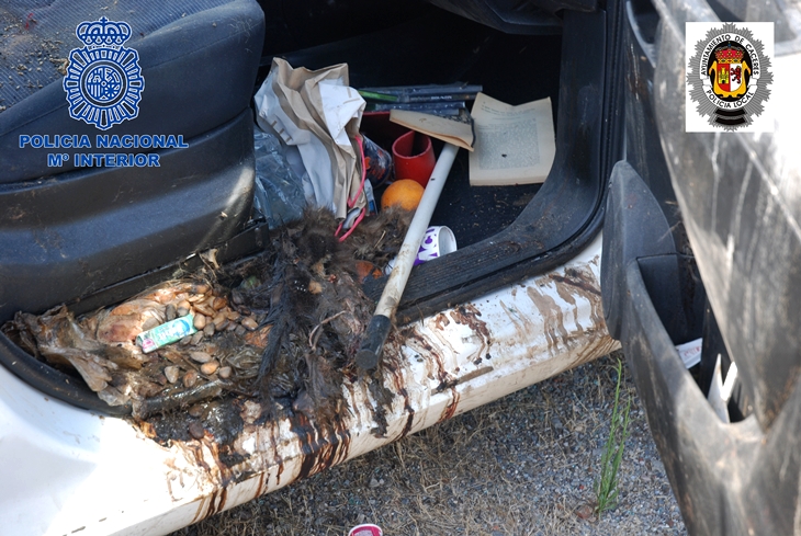 Detenido en Cáceres por maltrato animal