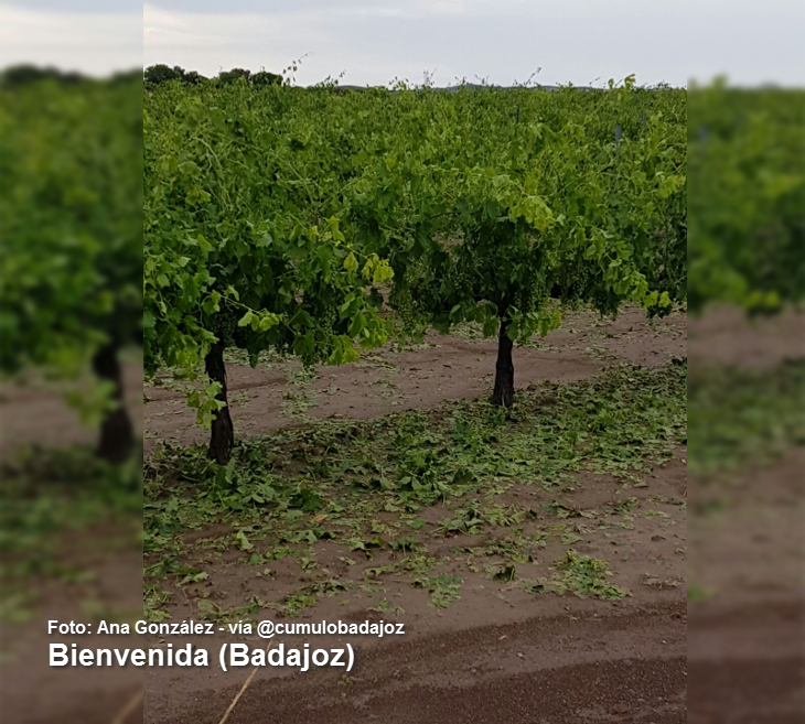 Nuevas inundaciones en el sur de Badajoz debido a las tormentas