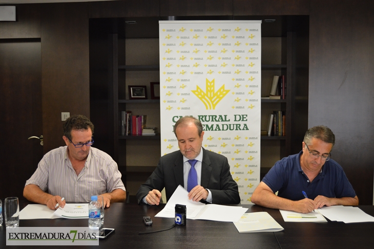 Caja Rural de Extremadura ayuda al sector agrícola castigado por el temporal
