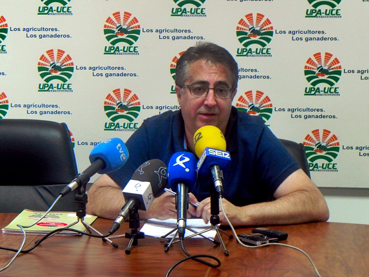 UPA-UCE cifra en 24 millones de euros las pérdidas en el tomate