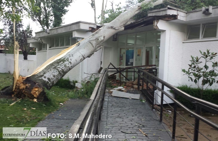Vecinos: &quot;Lo ocurrido ayer en Villanueva parecía un huracán&quot;