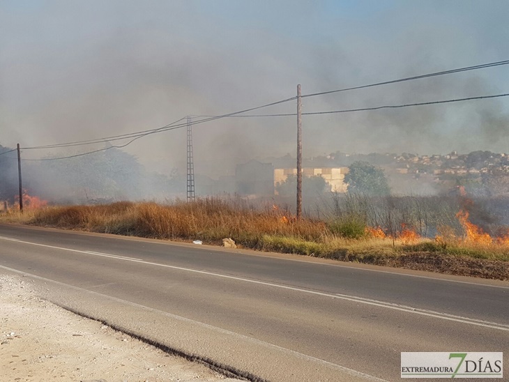 La carretera de la Corte (Badajoz) afectada por las llamas