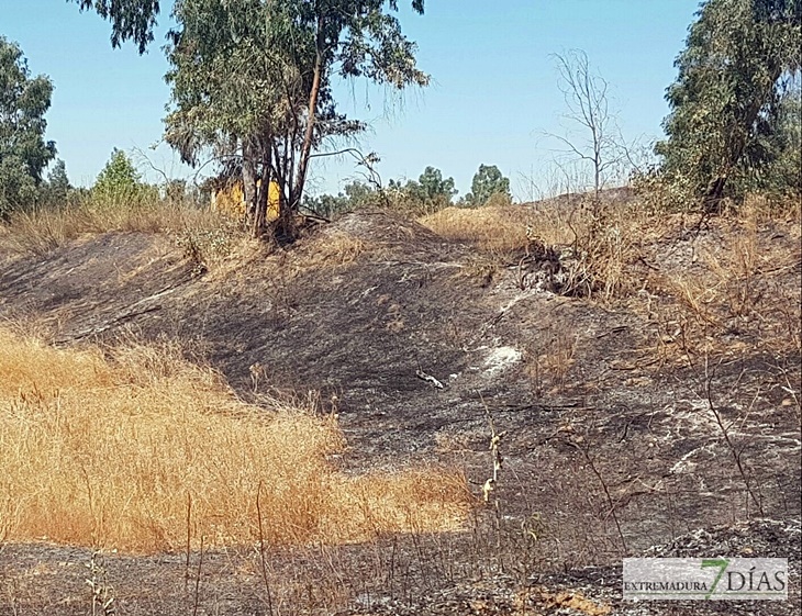 Un incendio calcina un centenar de colmenas en Novelda