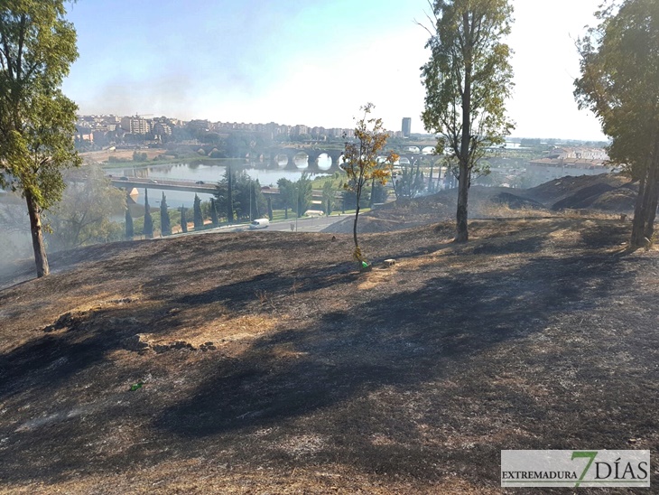 ¡¡¡De vergüenza!!!