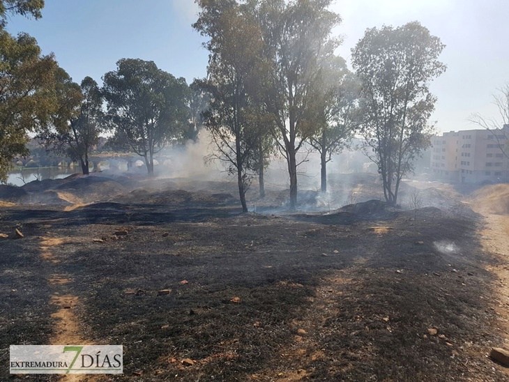 ¡¡¡De vergüenza!!!