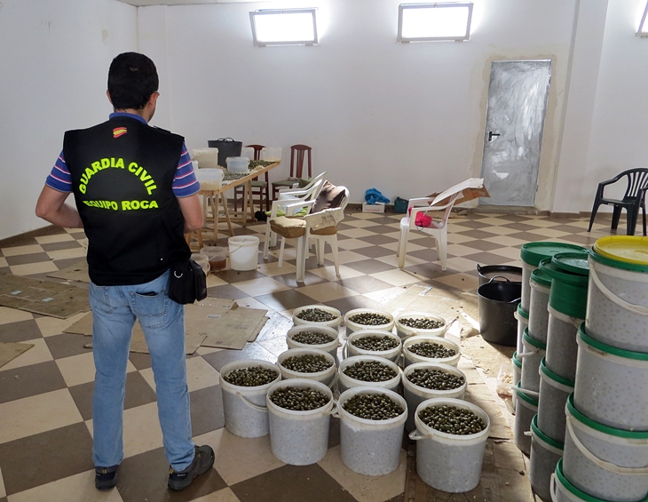 Operación contra la contratación ilegal de trabajadores en la región