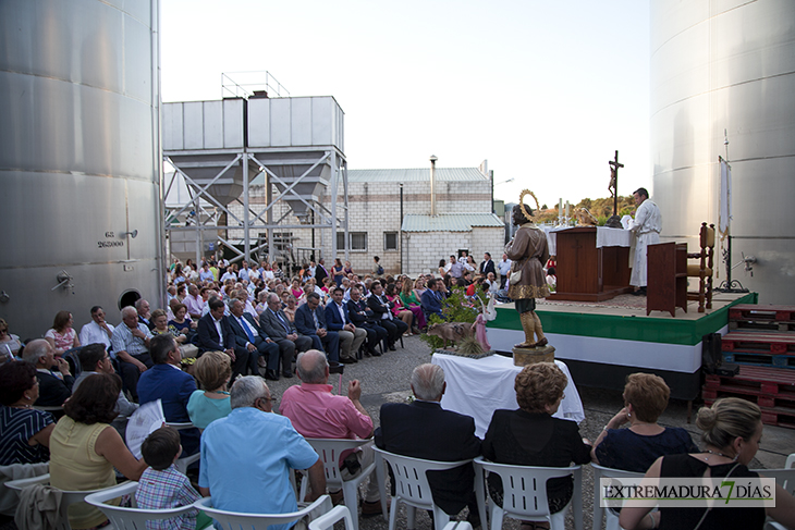 La cooperativa San Isidro de Entrín Bajo (Badajoz) cumple medio siglo