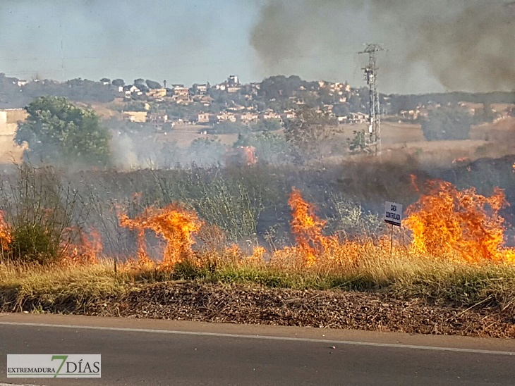 La carretera de la Corte (Badajoz) afectada por las llamas