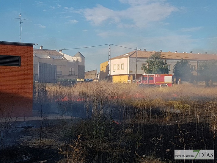 La carretera de la Corte (Badajoz) afectada por las llamas
