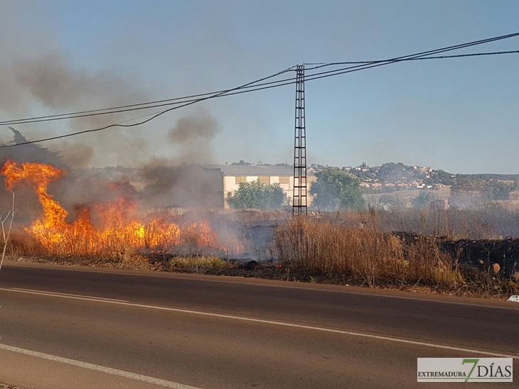 La carretera de la Corte (Badajoz) afectada por las llamas