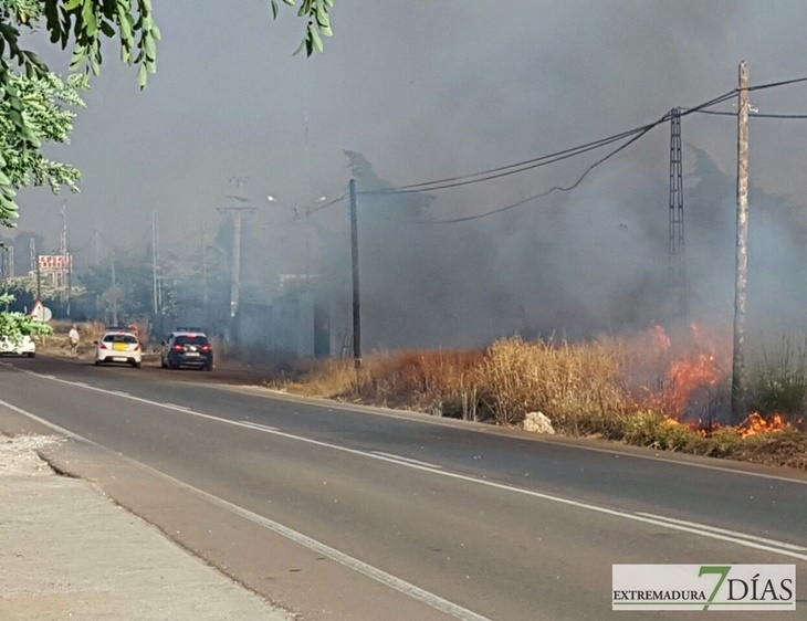 La carretera de la Corte (Badajoz) afectada por las llamas