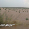 Nuevas inundaciones en el sur de Badajoz debido a las tormentas