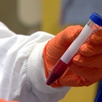 España supera los 230.000 donantes de médula en los seis primeros meses del año