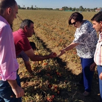 La Junta pedirá al Gobierno un Decreto Ley para las zonas afectadas por la tormenta