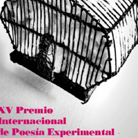 Diputación convoca el XV Premio Internacional de Poesía Experimental