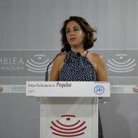 El PP indica que los planes de empleo de la Junta “no crean futuro”