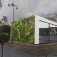 Los emeritenses se quejan del nuevo proyecto para los kioscos