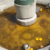 IU-Mérida exige una solución para la fuente de la Plaza de la Constitución