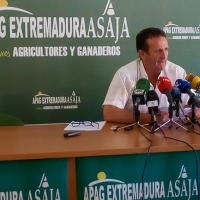 Asaja pide que se amplíe la actuación en las parcelas afectadas por plagas