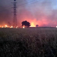 UGT pide que los agentes del medio natural investiguen los incendios