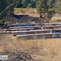 Un incendio calcina un centenar de colmenas en Novelda