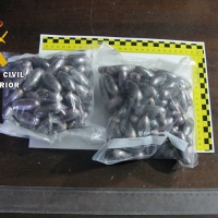 Detenido cuando transportaba 162 bellotas de hachís por la A-66